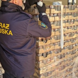 powiększ zdjęcie: Zakończono wydawanie karmy dla kotów wolno żyjących w Legnicy