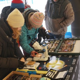 powiększ zdjęcie: Legnica ponownie w Zieleńcu podczas Dolnośląskiej Zimy 2026