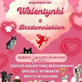 powiększ zdjęcie: „Walentynki z Bezdomniakiem” w legnickim schronisku