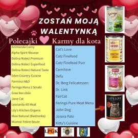 powiększ zdjęcie: „Walentynki z Bezdomniakiem” w legnickim schronisku