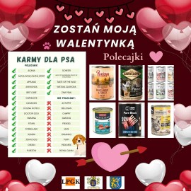 powiększ zdjęcie: „Walentynki z Bezdomniakiem” w legnickim schronisku