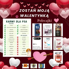 powiększ zdjęcie: „Walentynki z Bezdomniakiem” w legnickim schronisku