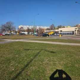 powiększ zdjęcie: Trwają wiosenne porządki na terenach zielonych i rekreacyjnych w Legnicy