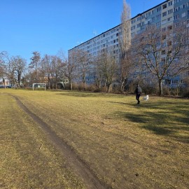 powiększ zdjęcie: Trwają wiosenne porządki na terenach zielonych i rekreacyjnych w Legnicy