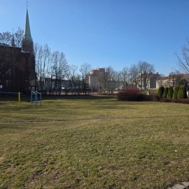 powiększ zdjęcie: Trwają wiosenne porządki na terenach zielonych i rekreacyjnych w Legnicy