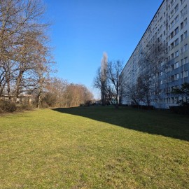 powiększ zdjęcie: Trwają wiosenne porządki na terenach zielonych i rekreacyjnych w Legnicy