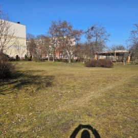 powiększ zdjęcie: Trwają wiosenne porządki na terenach zielonych i rekreacyjnych w Legnicy