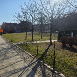 powiększ zdjęcie: Trwają wiosenne porządki na terenach zielonych i rekreacyjnych w Legnicy