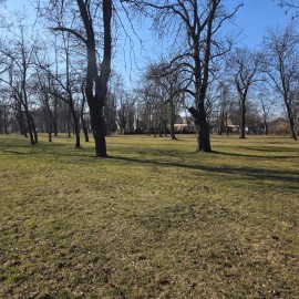 powiększ zdjęcie: Trwają wiosenne porządki na terenach zielonych i rekreacyjnych w Legnicy