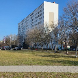 powiększ zdjęcie: Trwają wiosenne porządki na terenach zielonych i rekreacyjnych w Legnicy