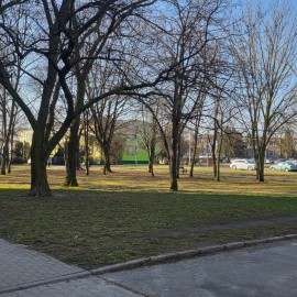 powiększ zdjęcie: Trwają wiosenne porządki na terenach zielonych i rekreacyjnych w Legnicy