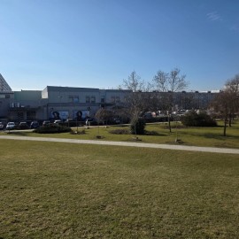 powiększ zdjęcie: Trwają wiosenne porządki na terenach zielonych i rekreacyjnych w Legnicy