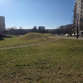 powiększ zdjęcie: Trwają wiosenne porządki na terenach zielonych i rekreacyjnych w Legnicy