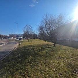 powiększ zdjęcie: Trwają wiosenne porządki na terenach zielonych i rekreacyjnych w Legnicy