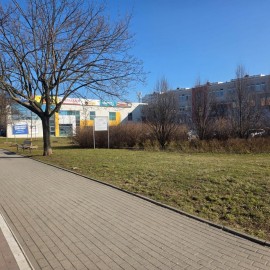 powiększ zdjęcie: Trwają wiosenne porządki na terenach zielonych i rekreacyjnych w Legnicy