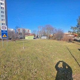 powiększ zdjęcie: Trwają wiosenne porządki na terenach zielonych i rekreacyjnych w Legnicy