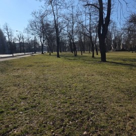 powiększ zdjęcie: Trwają wiosenne porządki na terenach zielonych i rekreacyjnych w Legnicy