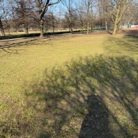 powiększ zdjęcie: Trwają wiosenne porządki na terenach zielonych i rekreacyjnych w Legnicy