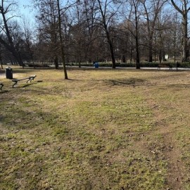 powiększ zdjęcie: Trwają wiosenne porządki na terenach zielonych i rekreacyjnych w Legnicy