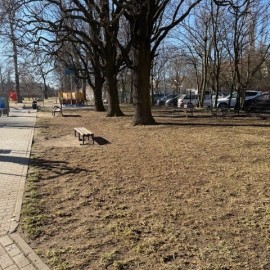 powiększ zdjęcie: Trwają wiosenne porządki na terenach zielonych i rekreacyjnych w Legnicy