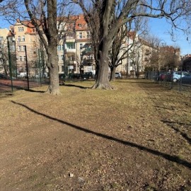 powiększ zdjęcie: Trwają wiosenne porządki na terenach zielonych i rekreacyjnych w Legnicy