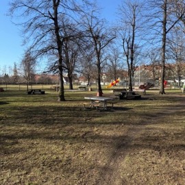 powiększ zdjęcie: Trwają wiosenne porządki na terenach zielonych i rekreacyjnych w Legnicy