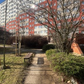 powiększ zdjęcie: Trwają wiosenne porządki na terenach zielonych i rekreacyjnych w Legnicy