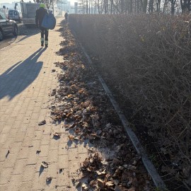 powiększ zdjęcie: Trwają wiosenne porządki na terenach zielonych i rekreacyjnych w Legnicy