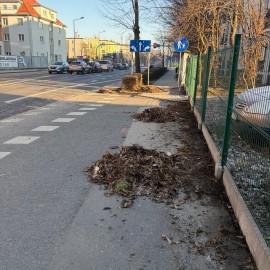 powiększ zdjęcie: Trwają wiosenne porządki na terenach zielonych i rekreacyjnych w Legnicy