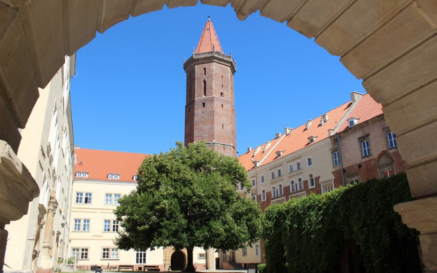 Cztery oferty na opracowanie dokumentacji dla Zamku Piastowskiego