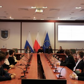 Młodzieżowa Rada Miejska o kulturze i budżecie obywatelskim. Zapowiedź IV sesji