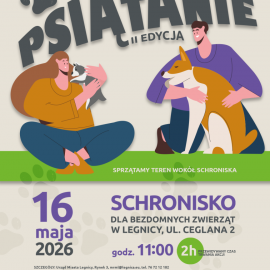 powiększ zdjęcie: Akcja "Psiątanie" w Legnicy. MRM rusza z pomocą dla czworonogów