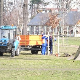 Dzięki hojności darczyńców zakupiono już 209 nowych drzew do Parku Miejskiego
