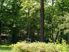 Dwa lata temu park zniszczył huragan. Dzisiaj niszczą go wandale