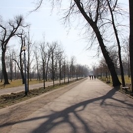 Aleja Orła Białego idzie do przebudowy