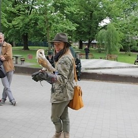 Darz bór w parku Miejskim