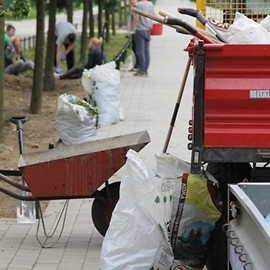 Będą kwitły przez cały rok