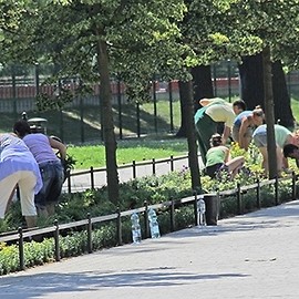 Ale w parku jest kwiatowo