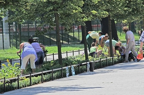 Ale w parku jest kwiatowo