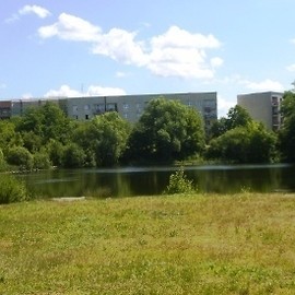 Debaty o Lasku Złotoryjskim