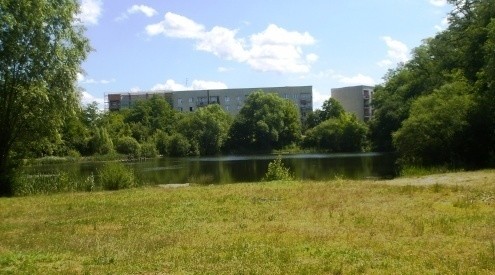 Debaty o Lasku Złotoryjskim