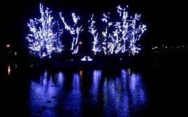 Atak wandali na świetlne łabędzie