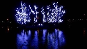 Atak wandali na świetlne łabędzie