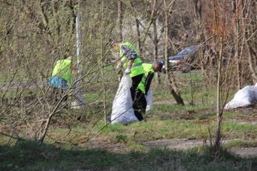 Bezrobotni sprzątają miasto