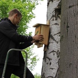 Domki dla nietoperzy w parku