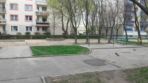 Głosuj na legnickie podwórko