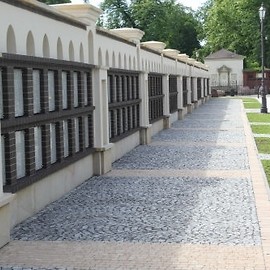 Głosujmy na Modernizację Roku