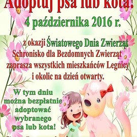 Do piersi przytul psa, weź na kolana kota …