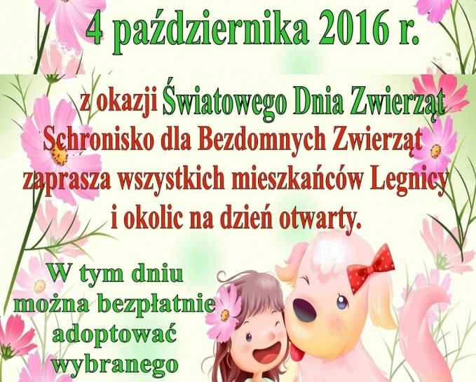 Do piersi przytul psa, weź na kolana kota …