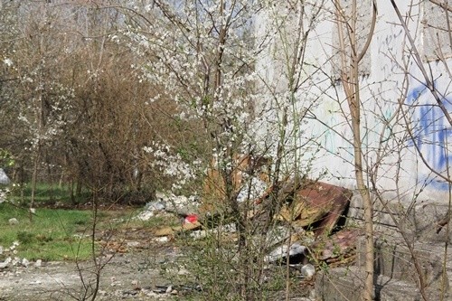 800 ton nielegalnych śmieci